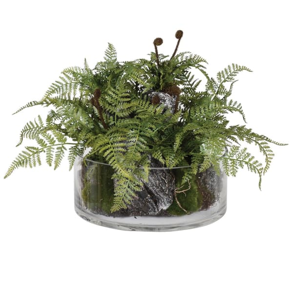Green Fern Plant with Bark in Glass Bowl