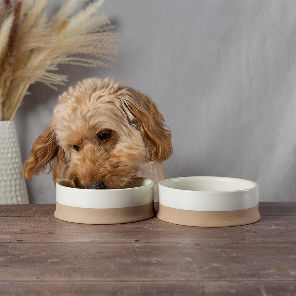 Dog Bowl - Cream