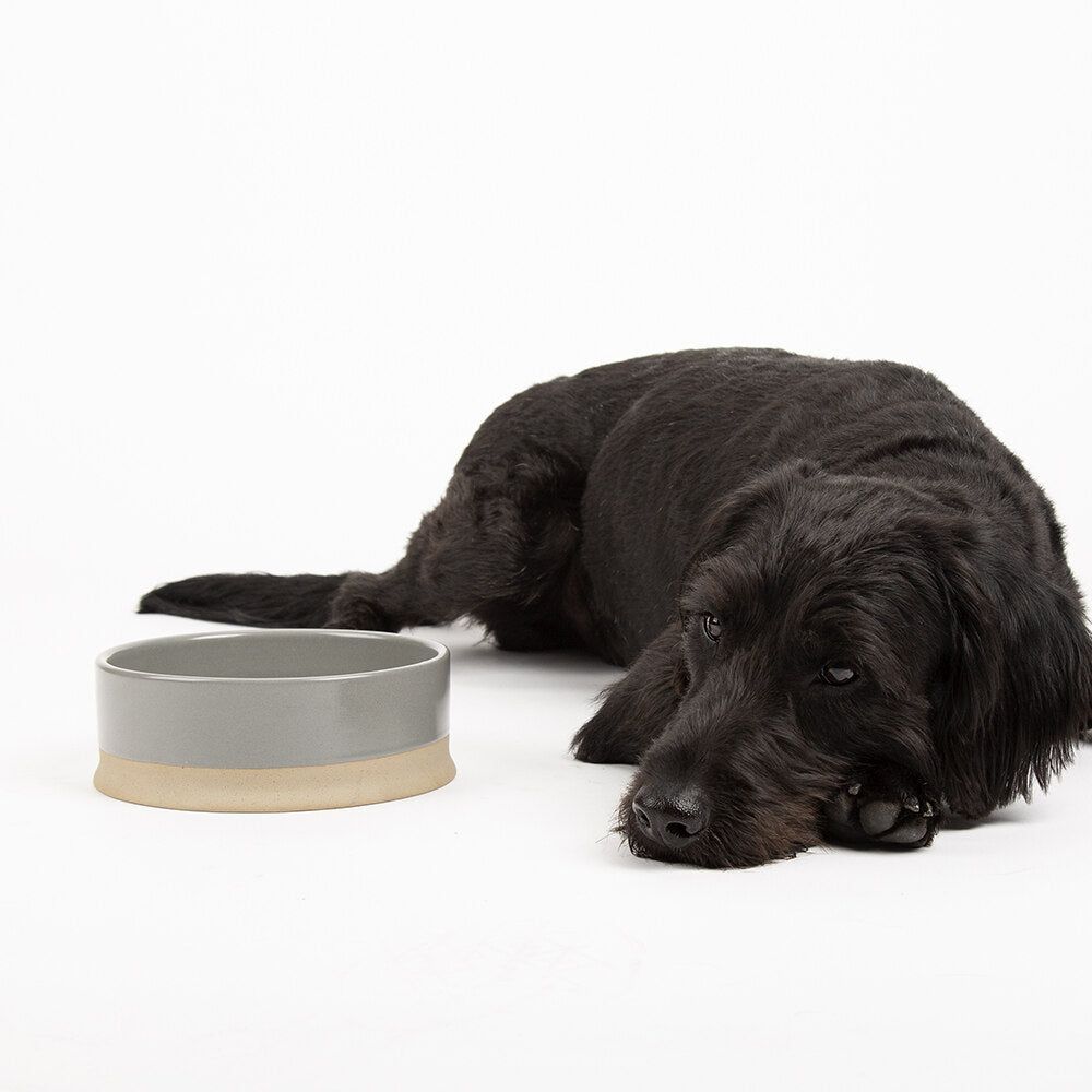 Scruffs Scandi Non Tip Pet Bowl
