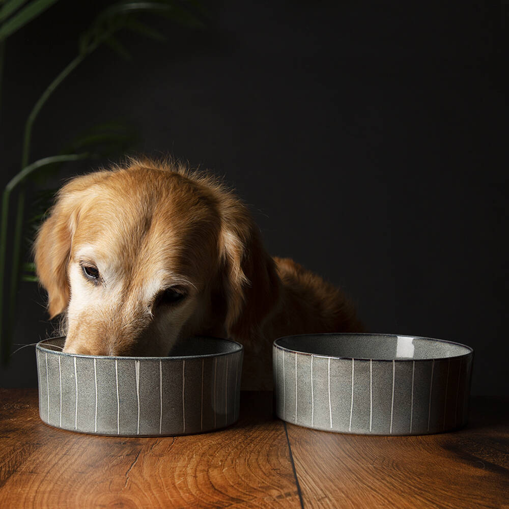 Scruffs Pinstripe Reactive Glaze Food Bowl