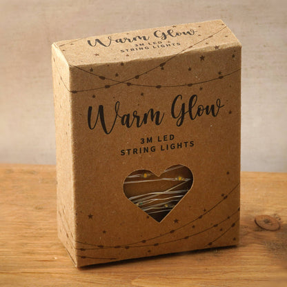 Warm Glow 3m LED String Lights