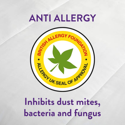 Slumberdown Anti Allergy Pillow Protector - 2 Pack
