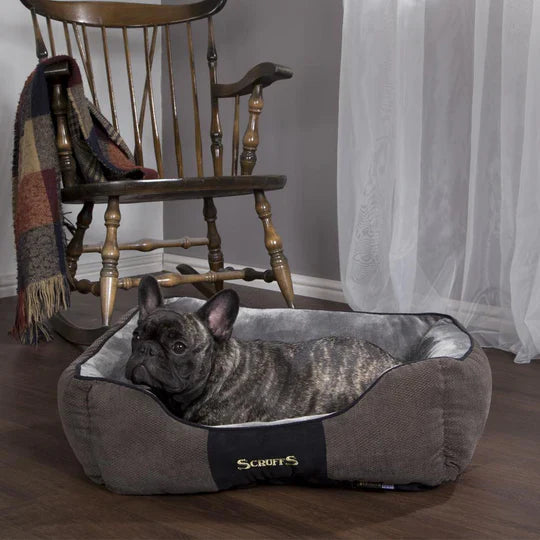 Scruffs Chester Box Dog Bed Grey - Small