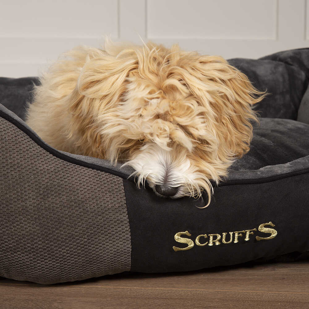 Scruffs Chester Box Dog Bed Grey - Small