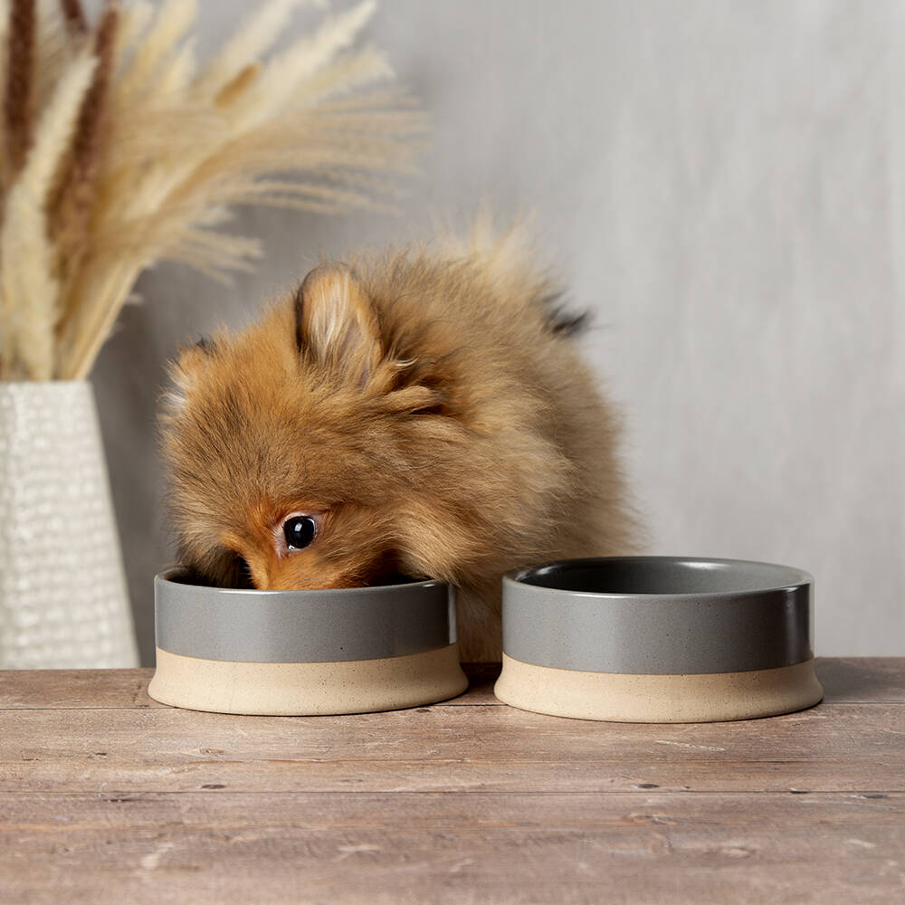 Scruffs Scandi Non Tip Pet Bowl