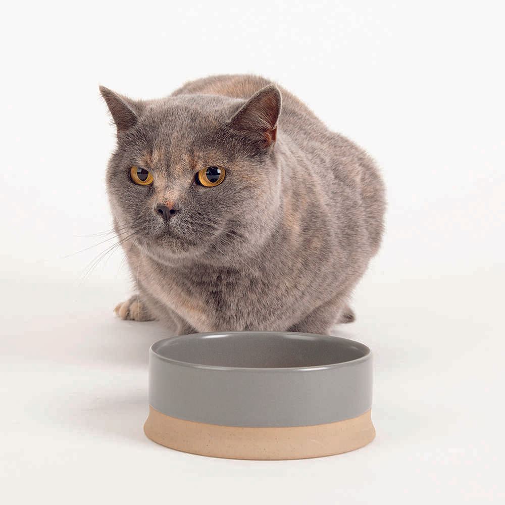 Scruffs Scandi Non Tip Pet Bowl