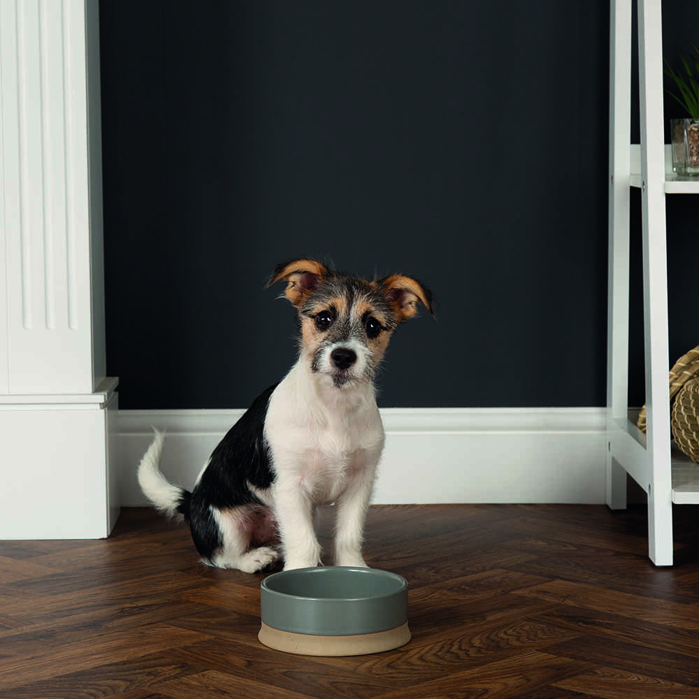 Scruffs Scandi Non Tip Pet Bowl