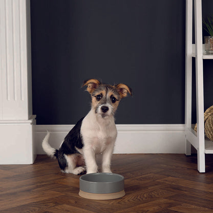 Scruffs Scandi Non Tip Pet Bowl