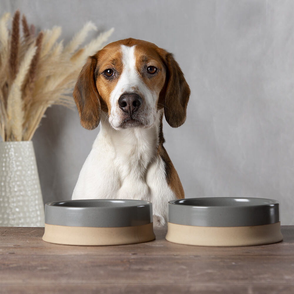 Scruffs Scandi Non Tip Pet Bowl