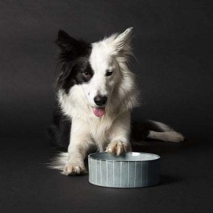 Scruffs Pinstripe Reactive Glaze Food Bowl