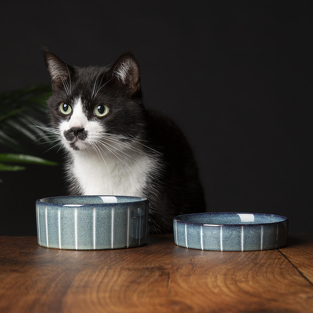 Scruffs Pinstripe Reactive Glaze Pet Saucer - 13cm Grey