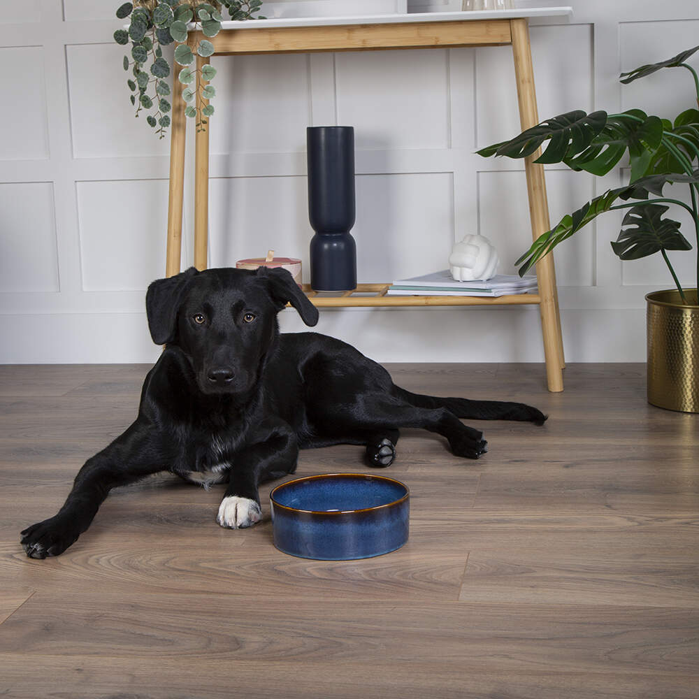 Scruffs Reactive Glaze Food Bowl - Midnight Blue