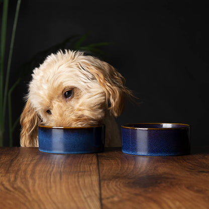 Scruffs Reactive Glaze Food Bowl - Midnight Blue