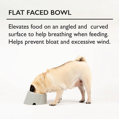 Scruffs Icon Flat Faced Pet Bowl Grey - 18cm