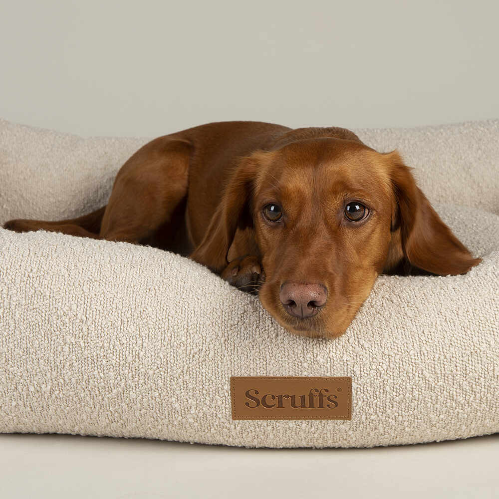 Scruffs Boucle Box Bed - Ivory